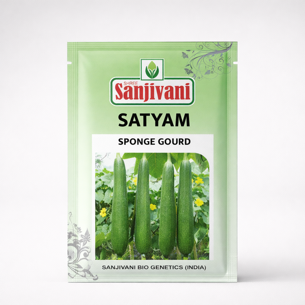 Satyam Hybrid Sponge Gourd Seeds (Gilki) | 25 Gm Pack